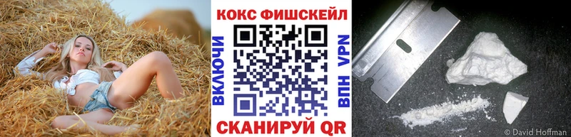 КОКАИН FishScale  mega маркетплейс  Искитим 