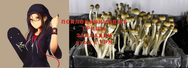 2c-b Пролетарск