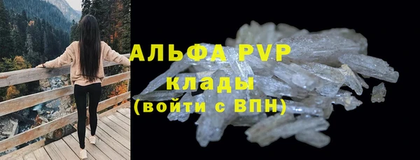 прущие грибы Верхний Тагил