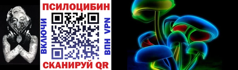 Псилоцибиновые грибы Cubensis  omg   Искитим 
